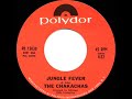 1972 HITS ARCHIVE: Jungle Fever - Chakachas (mono 45) Mp3 Song