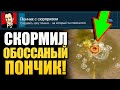 ПОМОЧИТЬСЯ НА ПОНЧИК и СКОРМИТЬ ЕГО КОПУ! САМЫЕ ИДИОТСКИЕ ДОСТИЖЕНИЯ В ИГРАХ