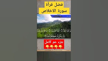 فضل قراءة سورة الاخلاص #quran #سورة_الإخلاص