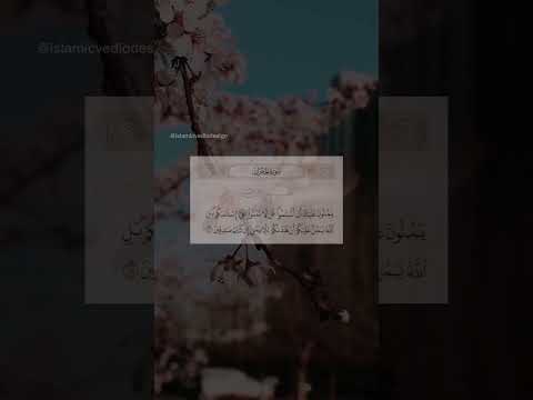 يمن ون عليك أن أسلموا سورة الحجرات رعد الكردي سورة الحجرات القرآن الكريم