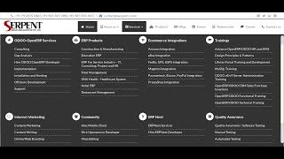 Configurable Website Mega Menu in Odoo CMS