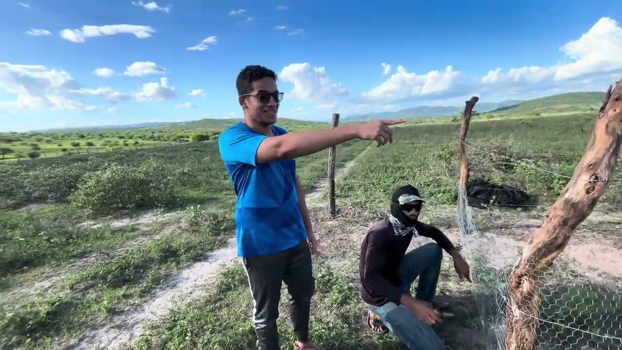 Gemios coreano e brasileiro  no sítio neguinho