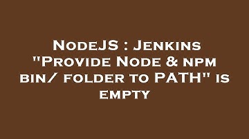NodeJS : Jenkins "Provide Node & npm bin/ folder to PATH" is empty