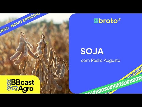 Soja: safra definida nos EUA e expectativa pelo plantio no Brasil | BBcast Agro – 19/09/2025