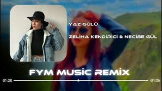 Zeliha Kendirici & Necibe Gül - Yaz Gülü ( FYM Music Remix ) | Dans Etmezmi Hallenmez Mi? Resimi