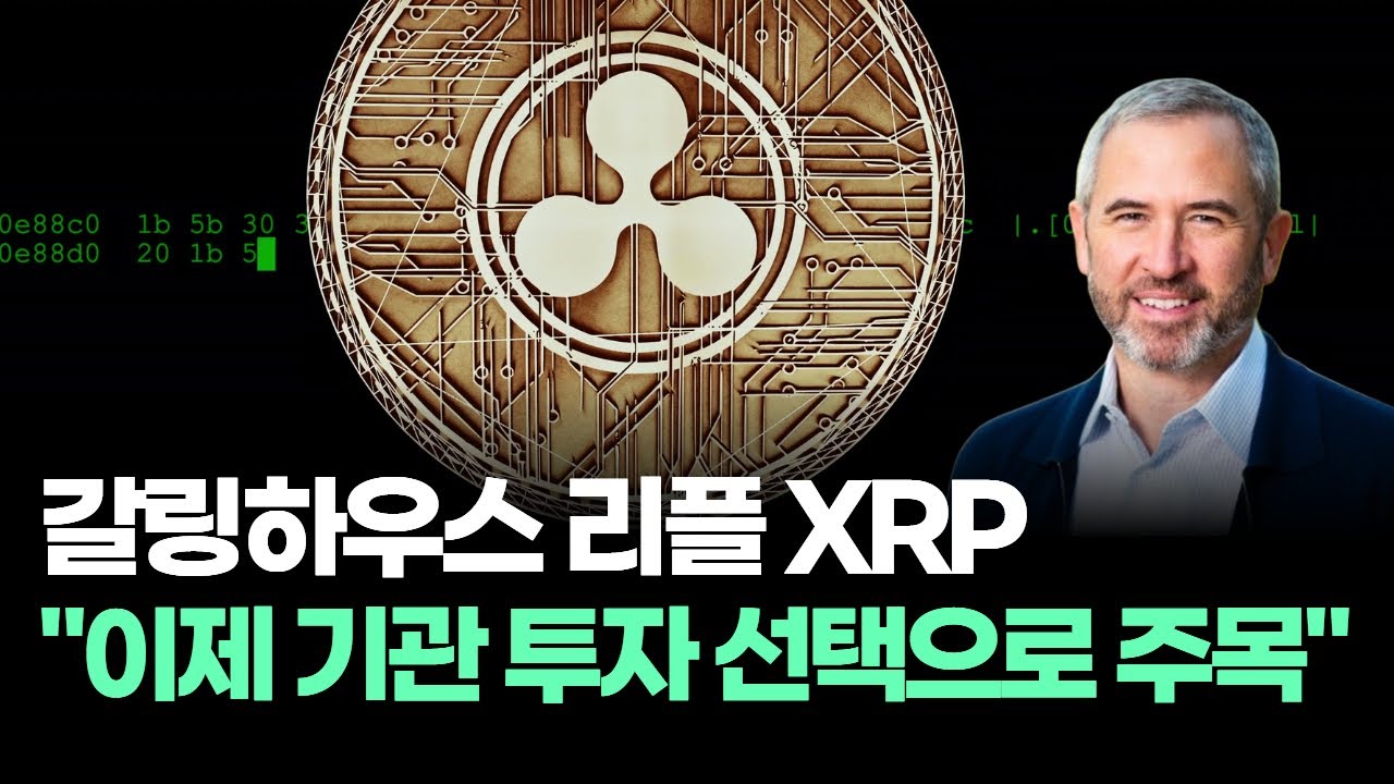 갈링하우스 리플 XRP, 