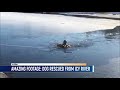Dog Rescued from Icy River in Alpena County