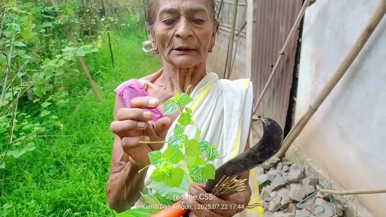 কি শাক বাৰু? বহুত নজনা কথা শিকোঁ আহক 🙏