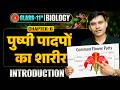 Biology Class 11th Chapter 6 Bihar Board | Anatomy of Flowering Plants | पुष्पी पादपों का शारीर |