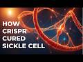 CRISPR Miracle Cures Sickle Cell Disease?