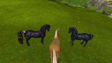 SSO | Music Video | A Million Dreams