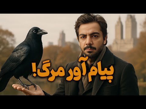 چرا کلاغ ها به اندازه یک کودک ۷ ساله باهوش اند عجایب هوش حیوانات