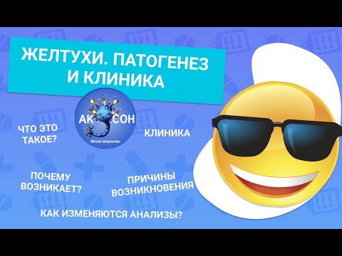 Желтуха. Патогенез и клиника.