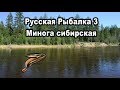 Русская Рыбалка 3 (Russian Fishing) Минога сибирская. Королевская коллекция