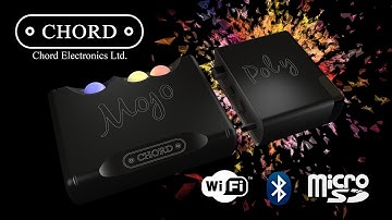 Chord Electronics Poly - Wireless Micro SD Card Network Streamer for Mojo