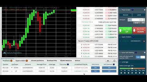 Do You Know How to Trade Leverage  BitSeven Directional Trading  Beginners Sessions