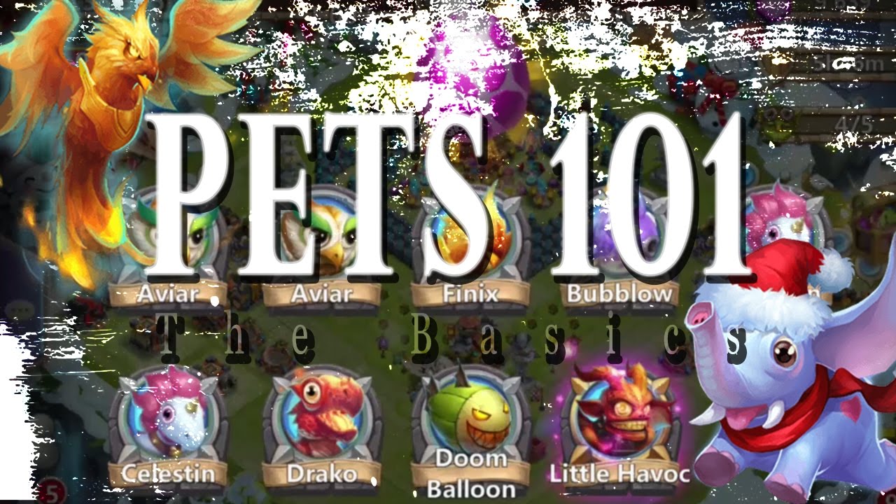 Castle Clash: Pets 101 | The Basics - YouTube