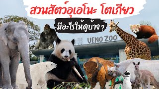 สวนสัตว์อุเอโนะ โตเกียว มีอะไรให้ดูบ้าง ? | Ueno Zoo สวนสัตว์ญี่ปุ่น เดินจากสถานีอุเอโนะถึงเลย