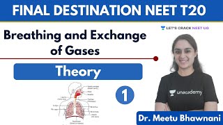 Breathing and Exchange of Gases - Theory | Part 1 | NEET Biology | NEET 2020 | Dr. Meetu Bhawnani