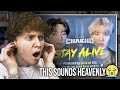 THIS SOUNDS HEAVENLY BTS Jungkook Stay Alive Prod SUGA Of BTS Song Reaction 