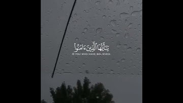 سورة الأحزاب   القارئ رعد الكردي