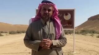 تقرير الاستاذ احمد السعدون دية