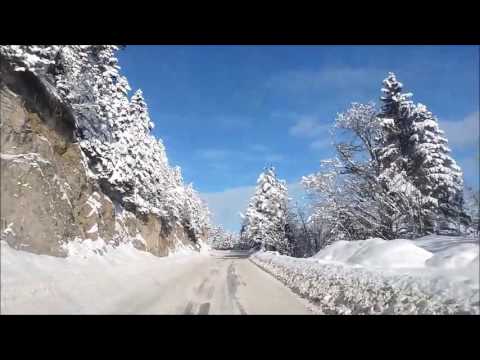 ბაკურიანის გზა.. \"ჯეო მეგზური\"