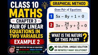 Class 10 Maths Chapter 3 Example 2 | Graphical Method | Infinitely Many Solutions