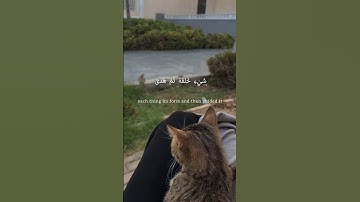 تلاوة من سورة طه | حوار موسى مع فرعون عن رب العالمين