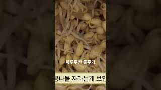 주전자로 콩나물키우기 !