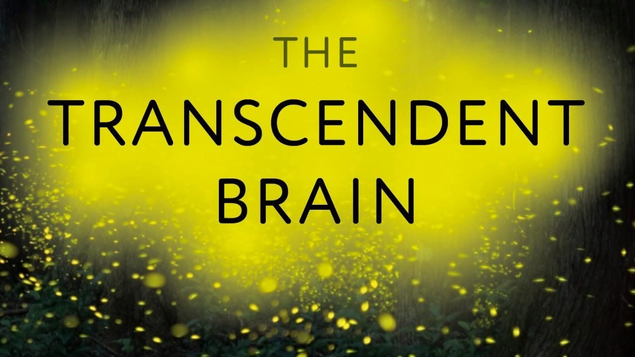 The Transcendent Brain: Spirituality in the Age of Science by Alan Lightman
