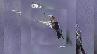 Andre Jetson - Colibri (Original Mix) [Minimal Techno]