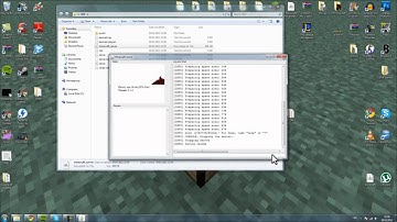TUTORIAL: SDK server