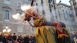 450 anys de la Mulassa de Barcelona I Ball de la Mulassa de Barcelona I Gegants