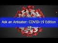 Ask an Anteater: COVID-19 Edition