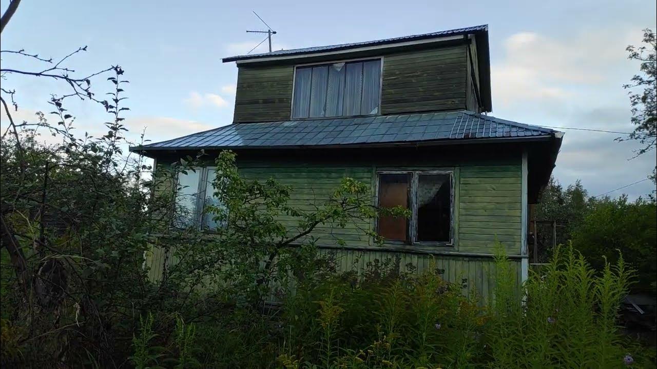 дашина дача новое. дача в деревне васютино. снт орбита 2. коттеджный поселок лесные поляны газопровод. николо-тители ступинский район снт поляна-14.