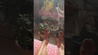 Tắm Nắng Khỏa Thân Tại Châu Âu