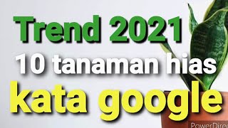 10 tanaman hias yang bakal trend hits 2021 menurut google