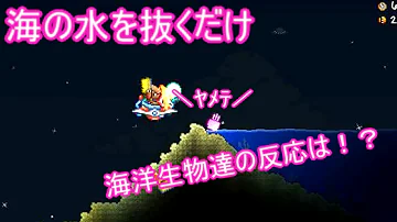 Terraria 水抜き