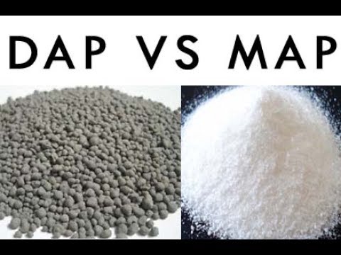 MAP VS DAP (Mono Ammonium Phosphate VS Di-Ammonium Phosphate)
