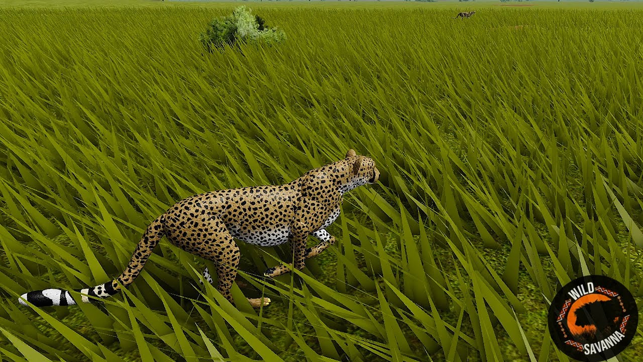 Выживание с САМЫМ СЛАБЫМ КОШКОМ в дикой саванне