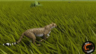 Surviving with the WEAKEST CAT on Wild Savanna screenshot 2