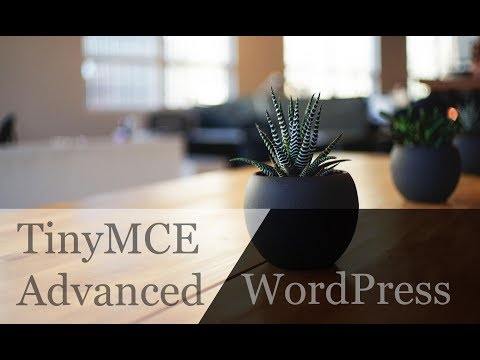 WordPress uncaught referenceerror tinymce is not defined