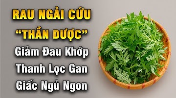 Rau Ngải Cứu – “Thần Dược” Cứu Khớp, Cứu Gan, Cứu Giấc Ngủ | Khoẻ Mà Đẹp