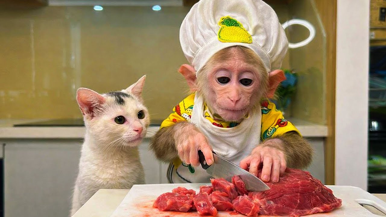 Chef Bibi Making Secret Recipes for the Whole Family!
