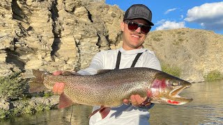 The BIGGEST TROUT in Colorado Live In This River!