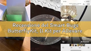 Recensione del Smart Bugs ButterflyKit, Il Kit per Allevare in Casa le farfalle di Cavolaia Maggiore