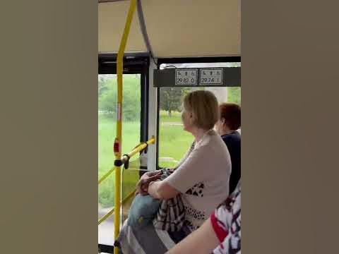 Ворона без хвоста #ворона - YouTube