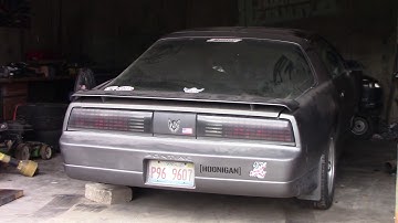 Trans Am Open Headers Start up and Rev