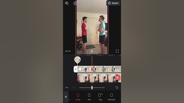 Videoleap Editing: How to clone yourself